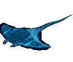 エイカーペット
